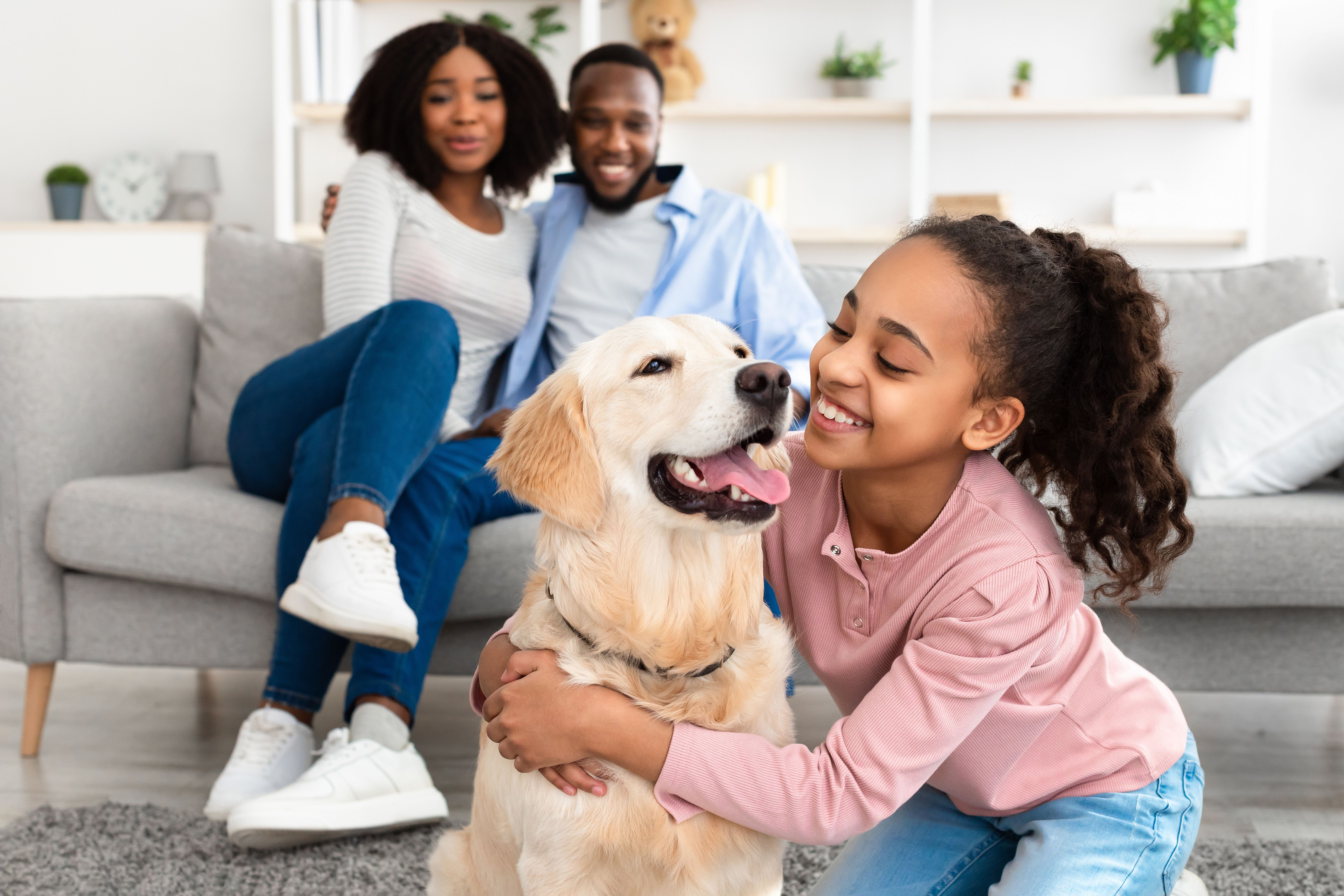 A Preemptive Approach: Best Maintenance Practices for Pet-Friendly Communities