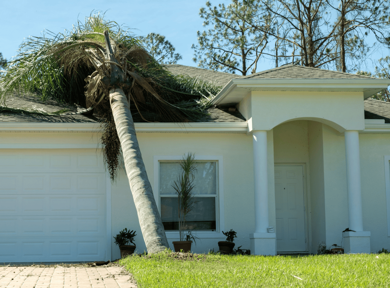 What to Do When You Have Storm Damage: 7 Important Steps