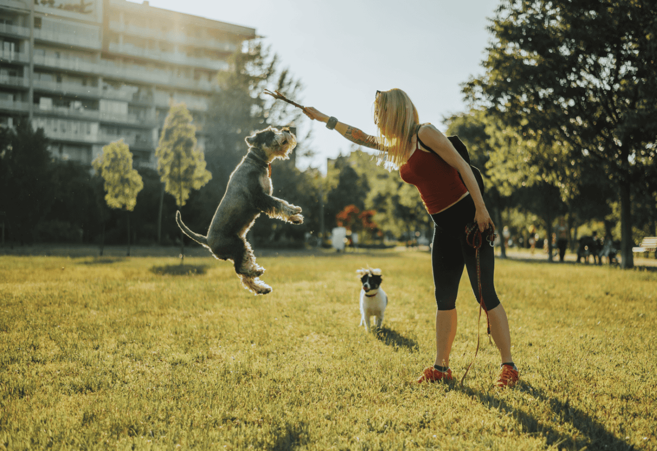 Forget Pools and Gyms. Today's Renters Demand Neighbor Happy Hours and Pet Turfs