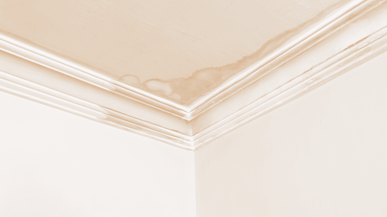 So, You Have a Water Stain on Your Ceiling—Here's What a Plumber Says to Do