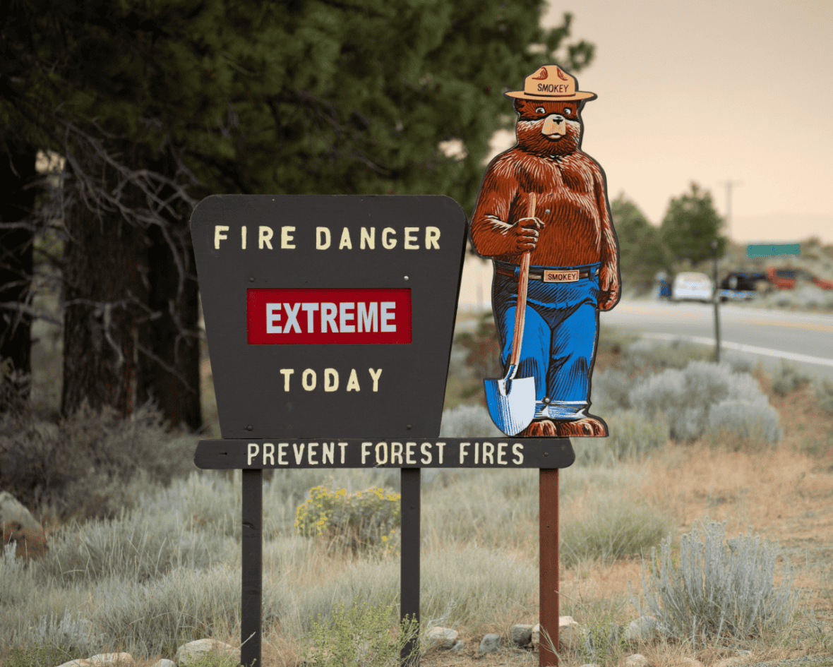 Wildfire Risk and Resilience