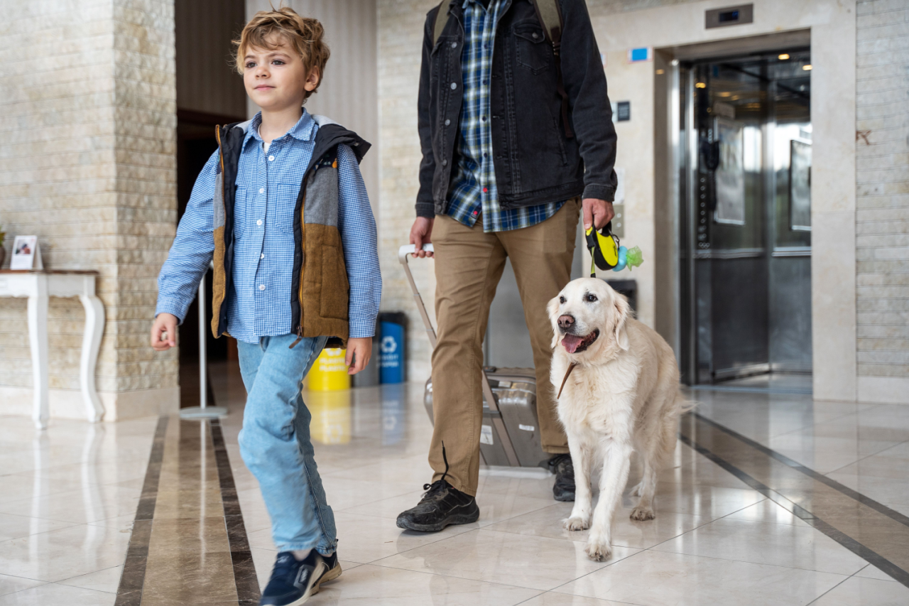 Make More Money with a Smart Airbnb Pet Fee Strategy