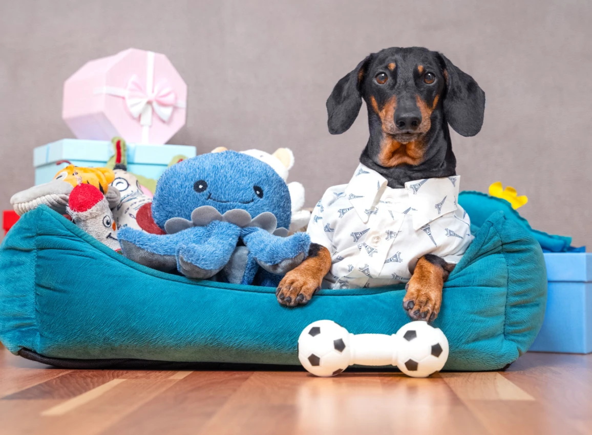 Pet Item Storage: An Oft-Overlooked Multifamily Amenity