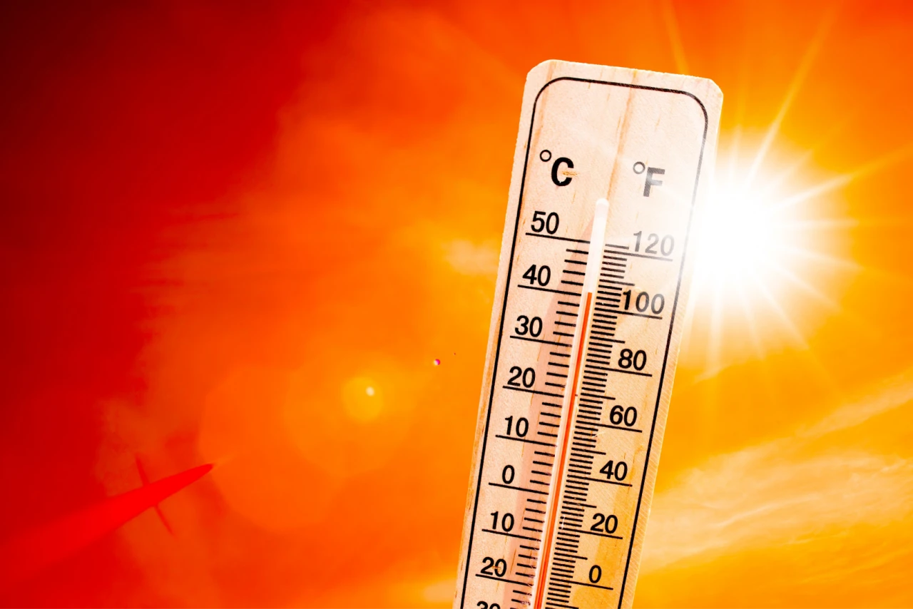 7 Energy-Efficient Ways to Cut Costs this Summer