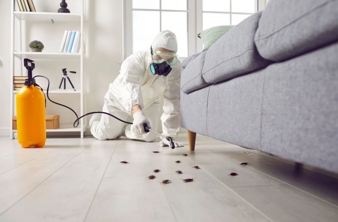 Here’s How to Get Rid of Cockroaches in an Apartment Building