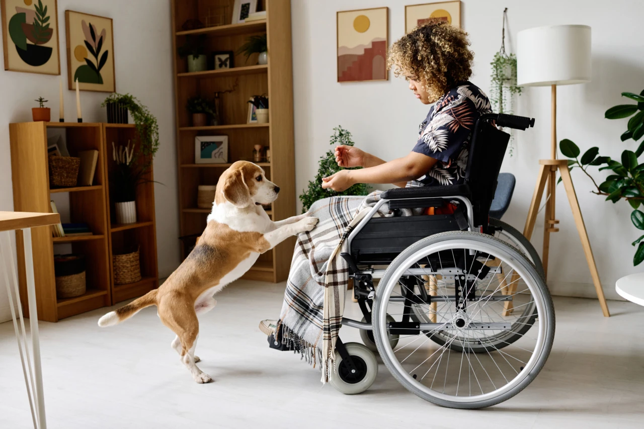 Pet-Friendly Policies