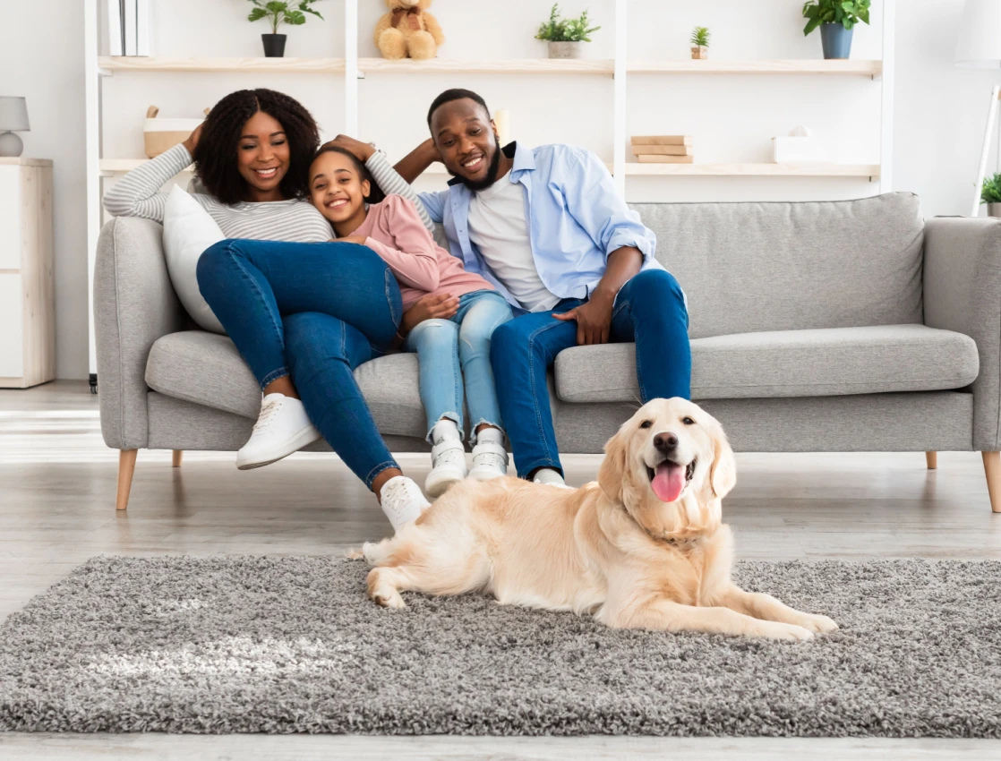 Should You Allow Pets in Your Rental Property?