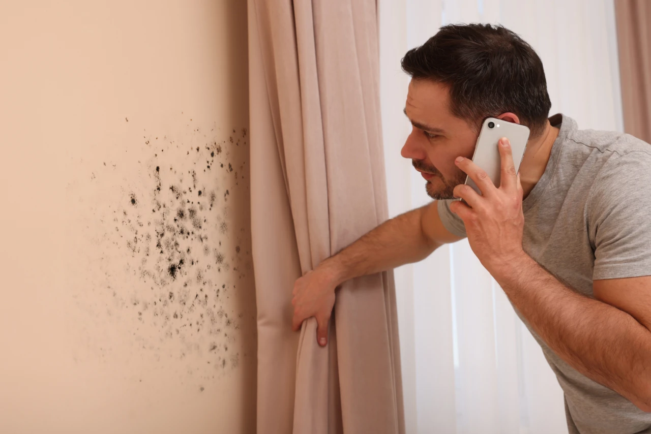 How Common Is Mold In Rental Homes?