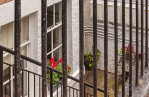 NYC Homeowners Can Now Apply to Build Basement, Backyard Apartments