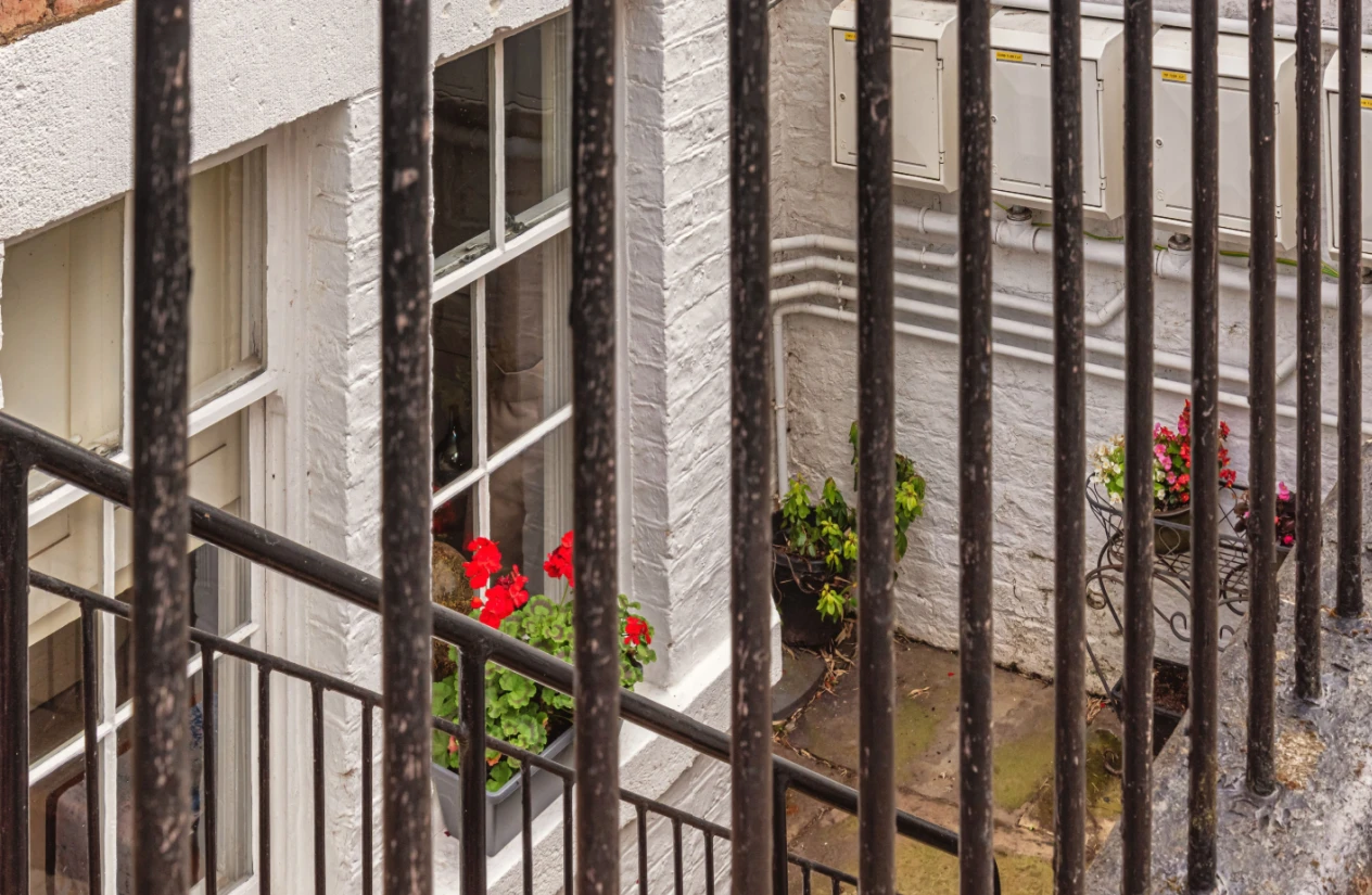 NYC Homeowners Can Now Apply to Build Basement, Backyard Apartments