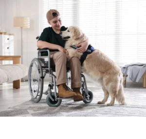 HUD Tightens the Leash on Emotional Support Animals