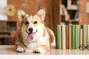 Report Pinpoints Need for Pet-Inclusive Rental Housing