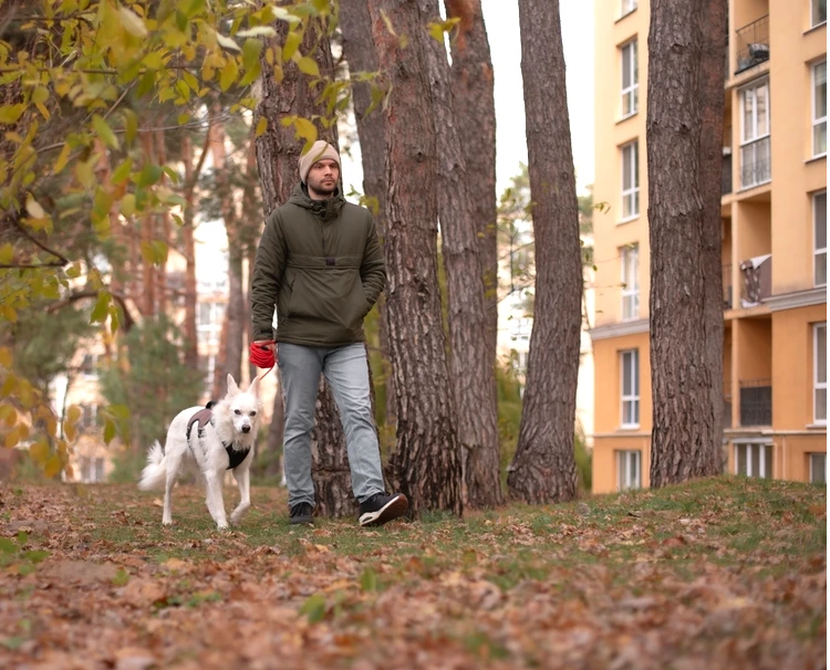 Walking the dog shutterstock_2643350465