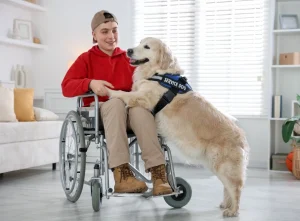 HUD’s Assistance Animal Reset