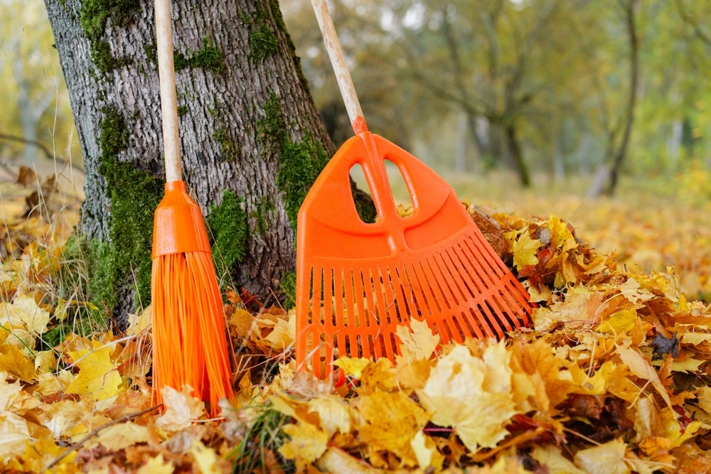 Fall Maintenance for Property Managers